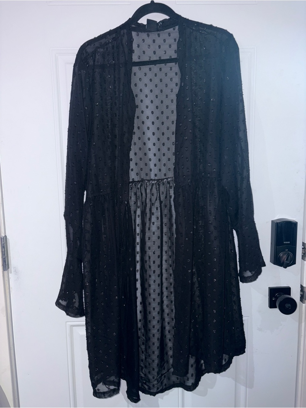 Women's Black Long Sleeve Sheer Swiss Dot Dress